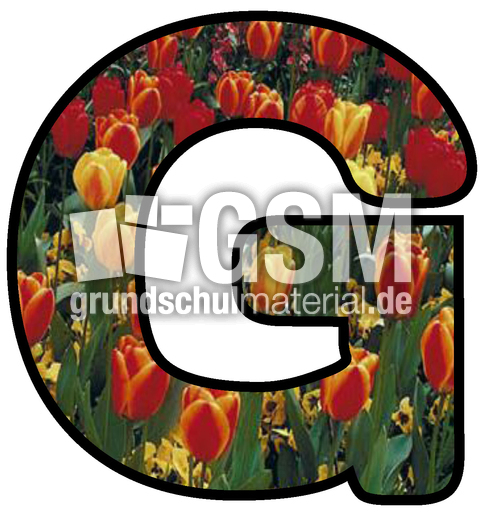 Dekobuchstaben-Tulpe_G.jpg
